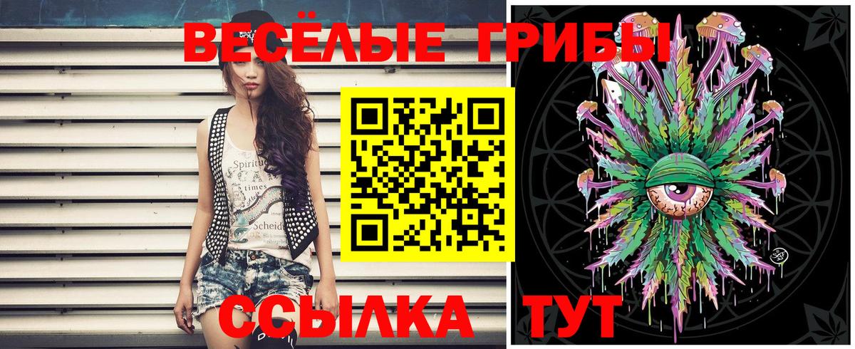Псилоцибиновые грибы мицелий Тюмень